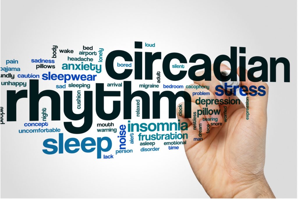 circadian rhythm